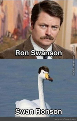 Ron Swanson