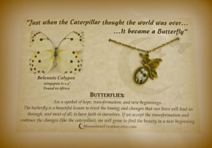Butterfly Wing Necklace, real butterfly wing charm with quote 