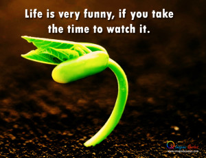 Life is very funny, if you take the time to watch it.