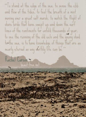 ... that are as nearly eternal as any earthly life can be - Rachel Carson