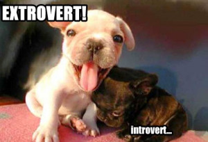 Extroverted you say?