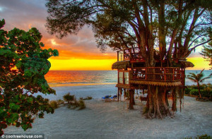 ... tree house... AFTER officials said they didn't need to get a permit