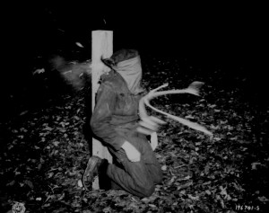 was taken at the precise instant bullets from a French firing squad ...