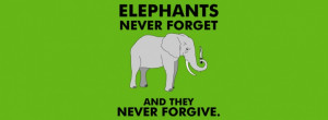 Elephant Funny...
