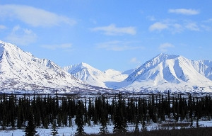 picture of mountains and trees in Alaska covered in snow, like what ...