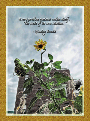 Sunflower Inspiration Digital Art