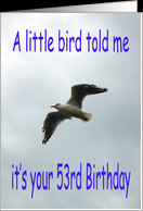 Happy 53rd Birthday Flying Seagull bird card - Product #673649