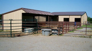 horse loafing shed