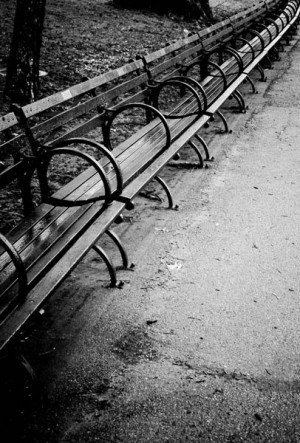 , Central Parks Our, Parks Our Engagement, Parks Benches, Central ...