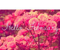 ... 11 10 13 31 02 hello february quotes quote february february quotes