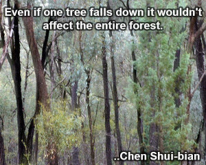 ... tree falls down it wouldn't affect the entire forest. Chen Shui-bian