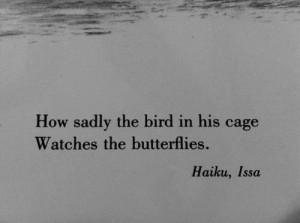 alone, bird, boy, cage, cut, cutting, done, empty, fat, girl, haiku ...