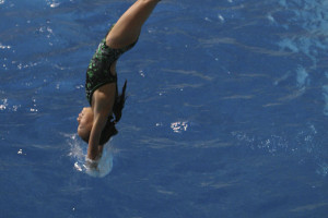 ... rules for high school springboard diving national foundation Pictures