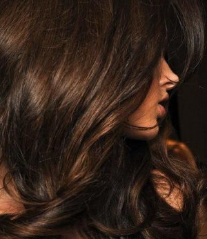 Chocolate Brown Hair with Caramel Highlights