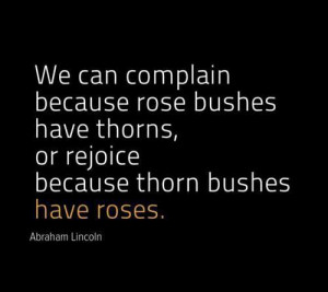 ... rose bushes have thorns, or rejoice because thorn bushes have roses