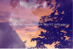 Words can't explain how much i miss you.
