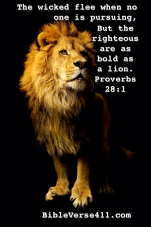 ... the righteous are bold as a lion. Proverbs 28:1 Bible Verse Pictures