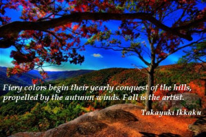 Funny Fall Quotes And Sayings Jpeg