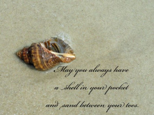 ... JPEG Download Hermit Crab with quote by GulfCoastInspired, $5.00