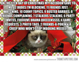 Tard The Grumpy Cat Quotes