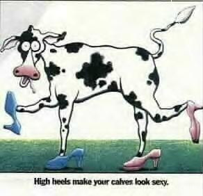 Cow In High Heels