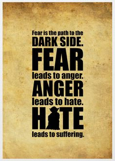 Fear is the path to the Dark Side. Fear leads to anger. Anger leads to ...