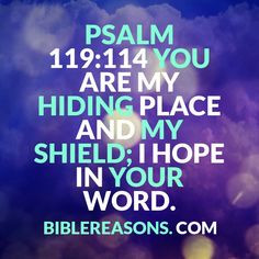 15 Encouraging Bible Quotes About God Being Our Hiding Place! Psalm ...