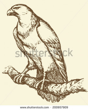 Bird Sleeve Tattoo Free Download 36849 Rising Phoenix Picture