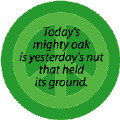 ... Yesterday's Nut that Held Its Ground--FUNNY PEACE QUOTE BUMPER STICKER