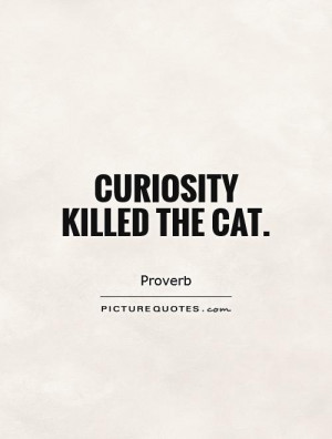 Cat Quotes Curiosity Quotes Proverb Quotes