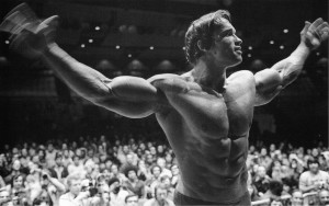arnold schwarzenegger, bodybuilding wallpaper
