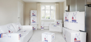 Britannia Shipping provide cardboard removal boxes for the move.