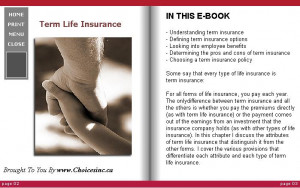 Image of life term insurance