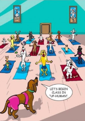 yoga humor