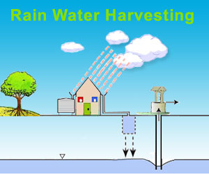 rain water harvesting medindia