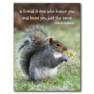 Smiling squirrel Friendship Quote Postcard