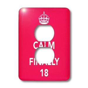 tools home improvement electrical outlets accessories outlet covers