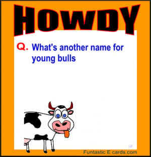 funny cartoon cattle cowboys joke Cowboy Sayings Jokes