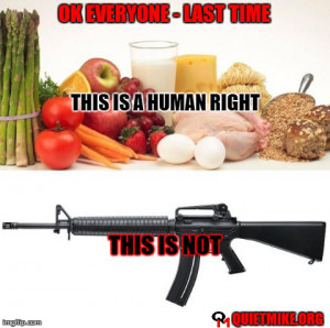 gun control, human rights meme, The Best Memes of September 2013