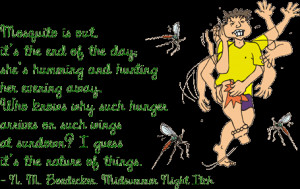 Funny Summer Quotes And Sayings Pictures #1