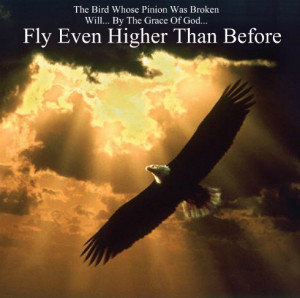 the bird whose pinion was broken will fly higher, overcoming quote