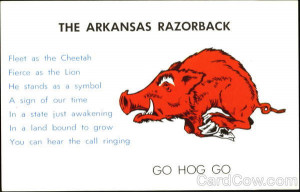 Arkansas Razorbacks