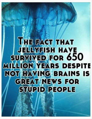 the fact that jellyfish have survived for 650 million years despite ...