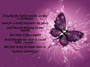 ... Butterflies Butterfly Quotes Infant Loss wallpaper for free