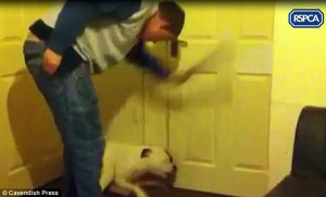 ... animal about the head and back as she yelped in pain and cowered by a