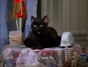 Salem-Sabrina The Teenage Witch