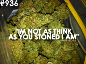 im not as think as you stoned i am