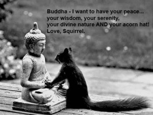 peace wisdom serenity