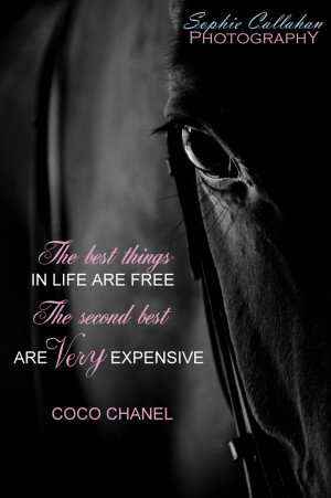 Equestrian Tumblr Quotes Photography - horse quotes