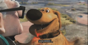 Up - Doug and squirrel